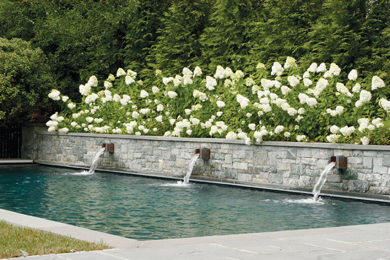 White hydrangeas border a pool, creating drama while screening the neighbors. LANDSCAPE ARCHITECTURE: Colao & Peter, Luxury Outdoor Living PHOTOGRAPHY: J.R. PETER
