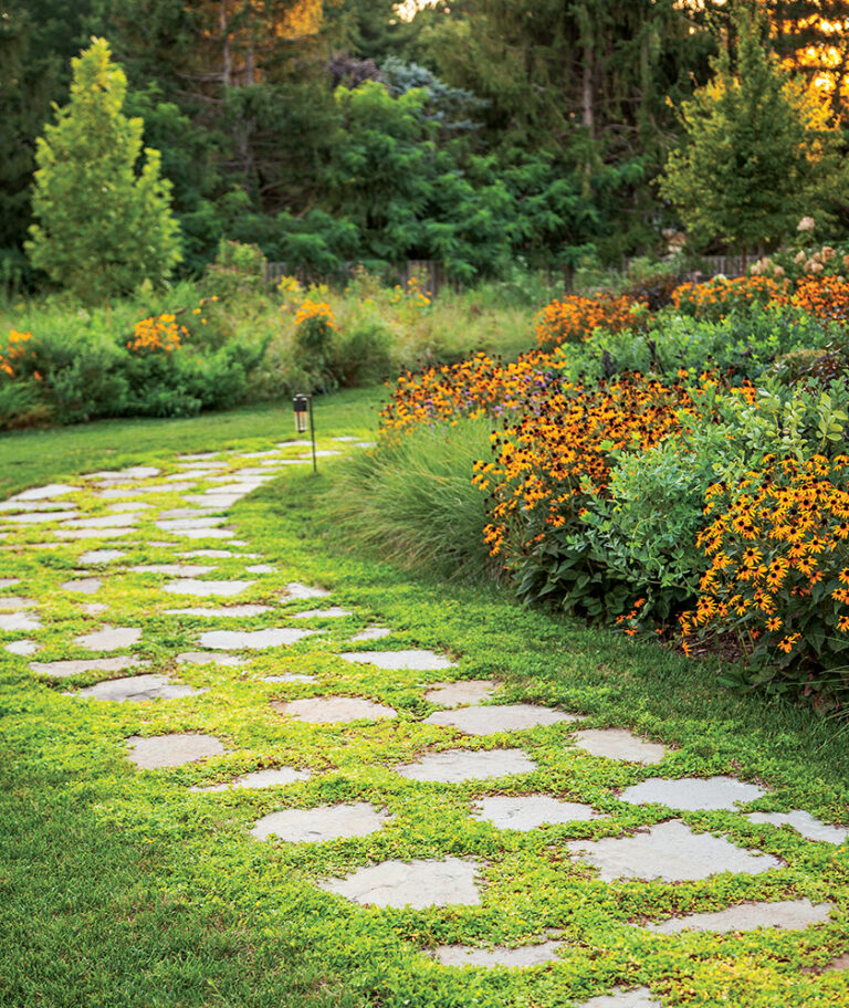Ground cover softens a reclaimed-flagstone garden path. LANDSCAPE ARCHITECTURE: Horn & Co. PHOTOGRAPHY: Allen Russ