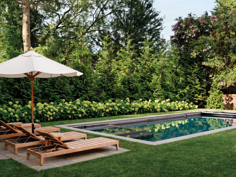 In a Chevy Chase landscape, lush grass and minimal hardscape surround a swimming pool bordered by a bank of hydrangeas.