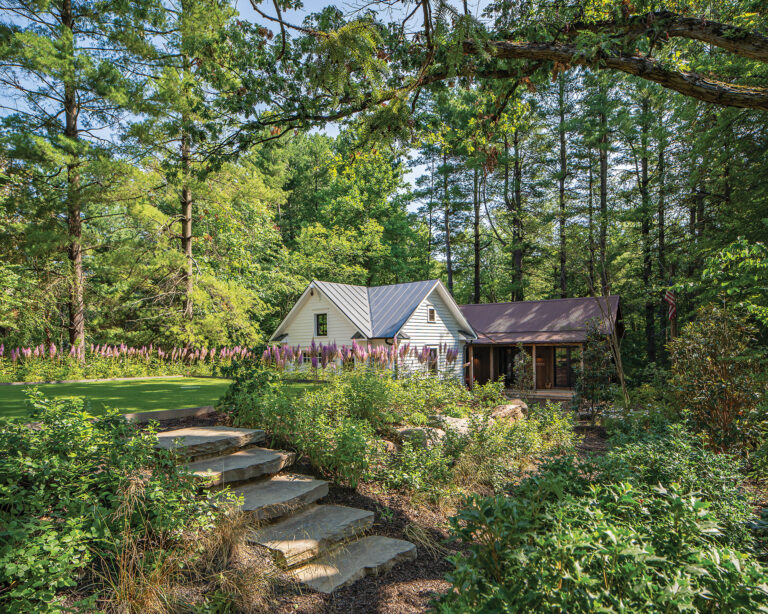 In Vienna, a perennial border of iris, daisies and herbs offers color during swimming season. LANDSCAPE ARCHITECTURE: Horn & Co. PHOTOGRAPHY: Anice Hoachlander