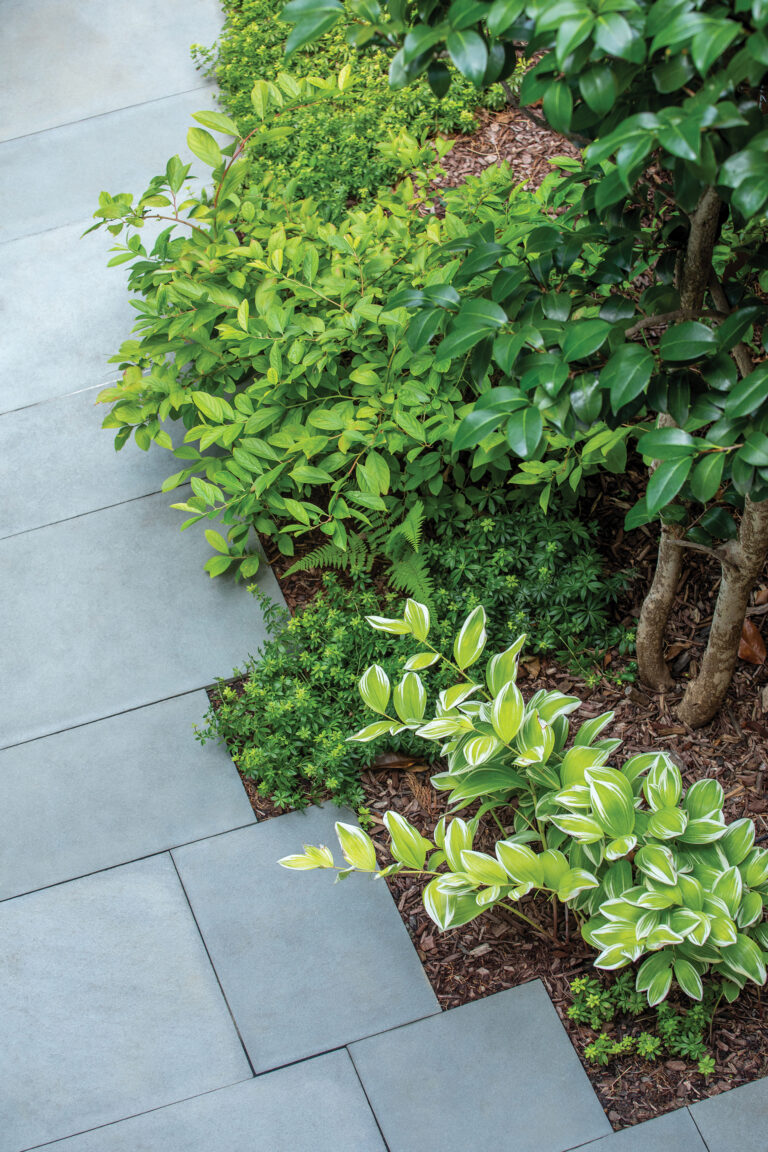 Jogging rows of bluestone break up the linear geometry of the space.